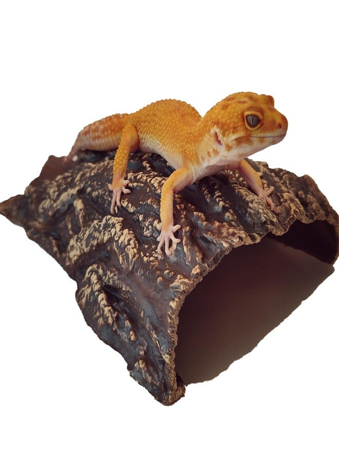 Plecoceramics كهف حوض السمك من السيراميك - ديكور حوض سمك بيتا من السيراميك - ديكور حوض سمك طبيعي - مخبأ كبير للزواحف - مخبأ كهف للأسماك - مخبأ للثعابين - كهف لأسماك السيكلد والبليكو (كهف) - Image 3